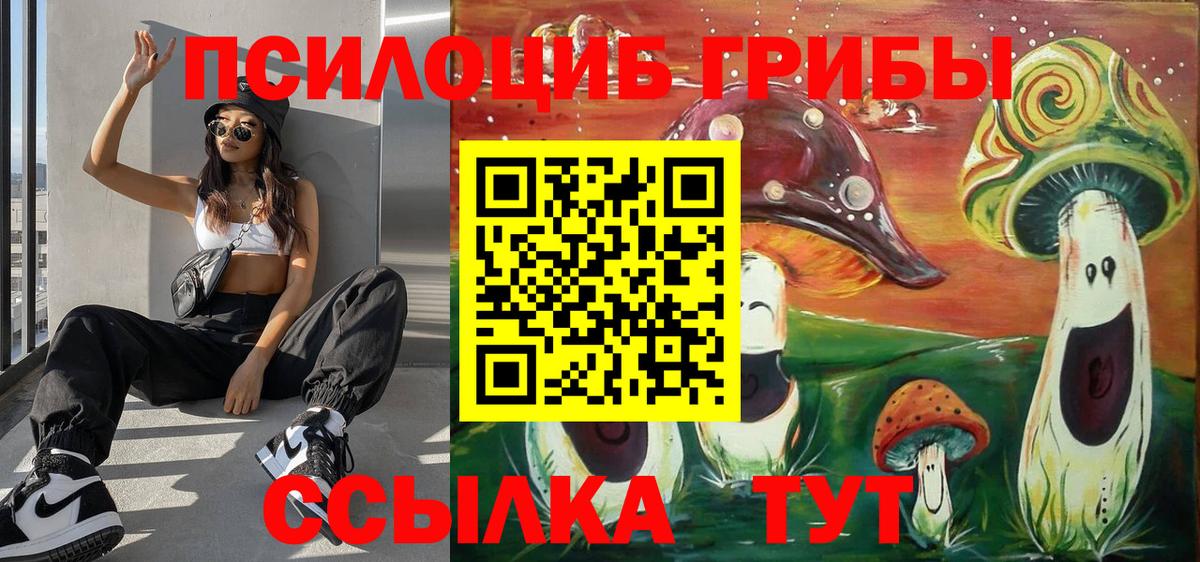 Карачаевск  Псилоцибиновые грибы MAGIC MUSHROOMS  Галлюциногенные грибы ЛСД  Вход с VPN 