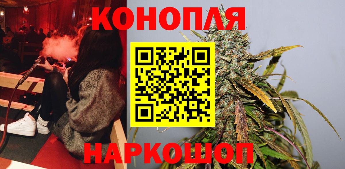 Бошки марихуана MAZAR Карачаевск